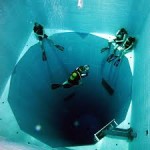 nemo33