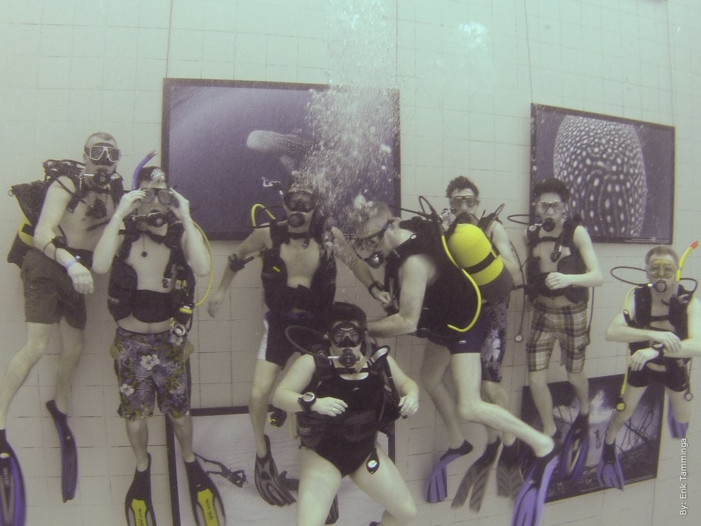 Nemo33