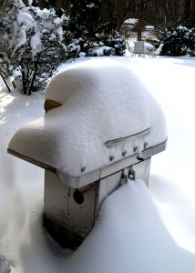 bbq-in-winter